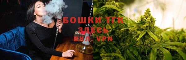 тгк Алзамай