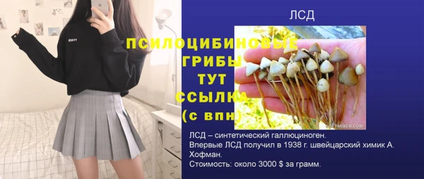 спайс Алексин
