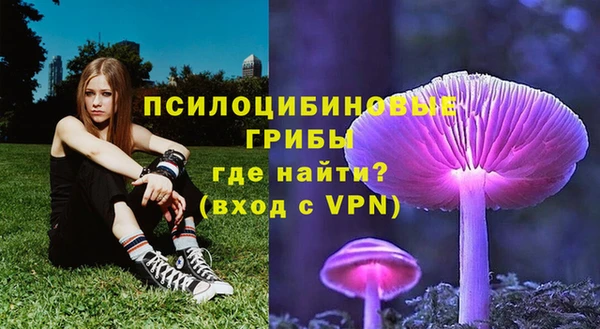 спайс Алексин