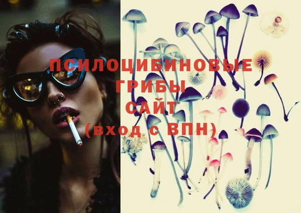 тгк Алзамай